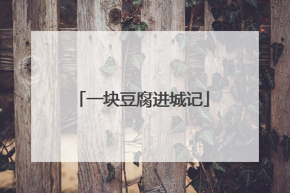 一块豆腐进城记