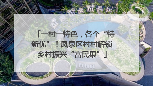 一村一特色，各个“特新优”！凤泉区村村解锁乡村振兴“富民果”