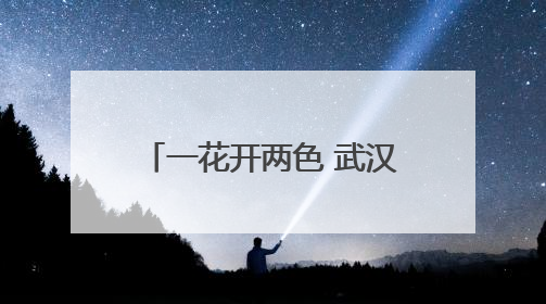 一花开两色 武汉双色睡莲绽放引客