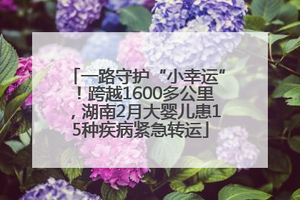 一路守护“小幸运”！跨越1600多公里，湖南2月大婴儿患15种疾病紧急转运