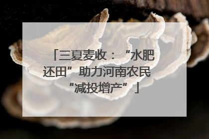三夏麦收：“水肥还田”助力河南农民“减投增产”
