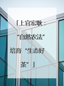 上官宏耿：“自然农法”培育“生态好茶”
