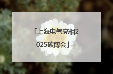 上海电气亮相2025碳博会