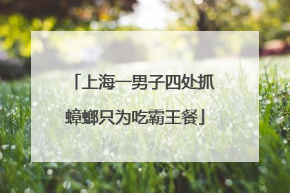 上海一男子四处抓蟑螂只为吃霸王餐