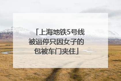 上海地铁5号线被逼停只因女子的包被车门夹住