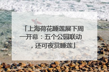 上海荷花睡莲展下周一开幕：五个公园联动，还可夜赏睡莲