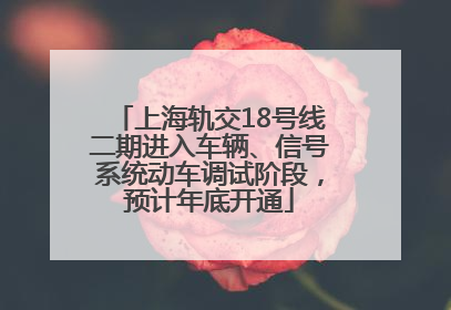 上海轨交18号线二期进入车辆、信号系统动车调试阶段，预计年底开通