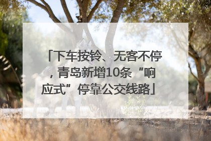 下车按铃、无客不停，青岛新增10条“响应式”停靠公交线路