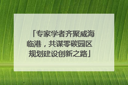 专家学者齐聚威海临港，共谋零碳园区规划建设创新之路
