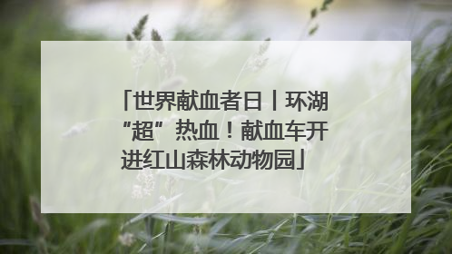 世界献血者日丨环湖“超”热血！献血车开进红山森林动物园