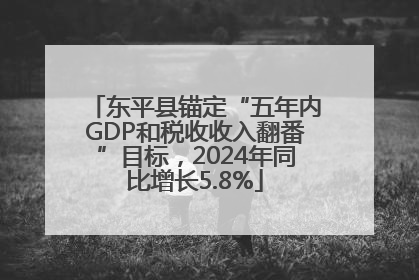 东平县锚定“五年内GDP和税收收入翻番”目标，2024年同比增长5.8%