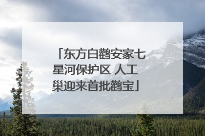 东方白鹳安家七星河保护区 人工巢迎来首批鹳宝