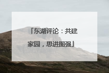 东湖评论：共建家园，思进图强