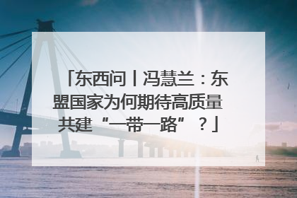东西问丨冯慧兰：东盟国家为何期待高质量共建“一带一路”？