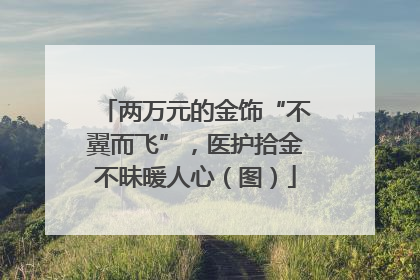 两万元的金饰“不翼而飞”，医护拾金不昧暖人心（图）