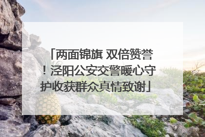 两面锦旗 双倍赞誉！泾阳公安交警暖心守护收获群众真情致谢