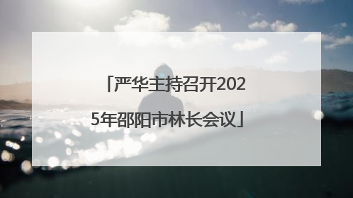 严华主持召开2025年邵阳市林长会议