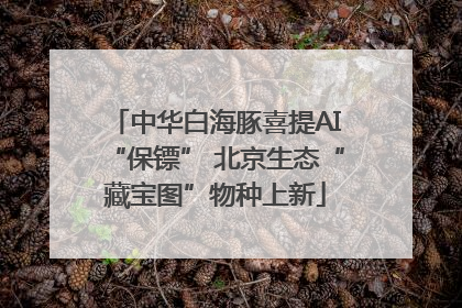 中华白海豚喜提AI“保镖” 北京生态“藏宝图”物种上新