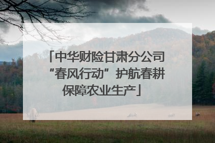 中华财险甘肃分公司“春风行动”护航春耕 保障农业生产