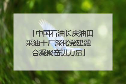 中国石油长庆油田采油十厂深化党建融合凝聚奋进力量