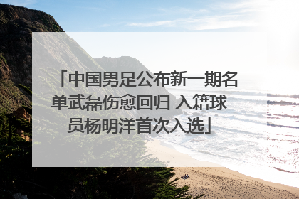 中国男足公布新一期名单武磊伤愈回归 入籍球员杨明洋首次入选