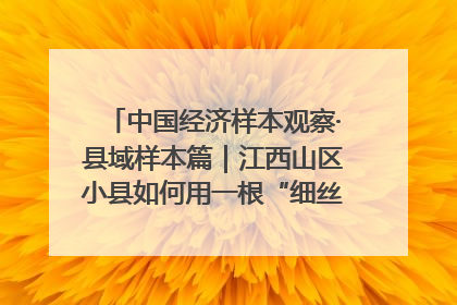 中国经济样本观察·县域样本篇｜江西山区小县如何用一根“细丝”拉出百亿级产业？