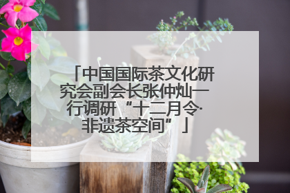 中国国际茶文化研究会副会长张仲灿一行调研“十二月令·非遗茶空间”