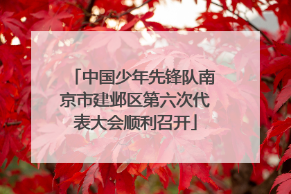 中国少年先锋队南京市建邺区第六次代表大会顺利召开