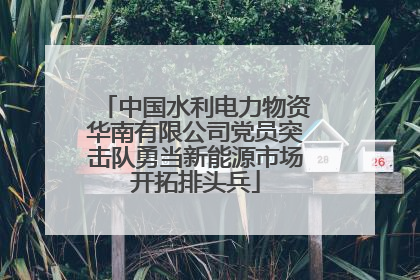 中国水利电力物资华南有限公司党员突击队勇当新能源市场开拓排头兵