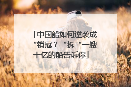 中国船如何逆袭成“销冠？“拆“一艘十亿的船告诉你