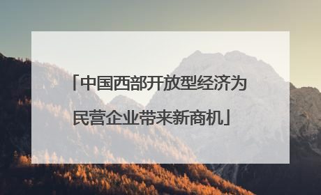 中国西部开放型经济为民营企业带来新商机