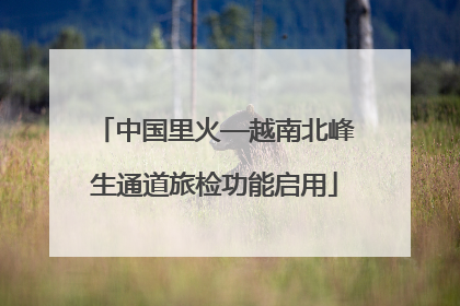 中国里火—越南北峰生通道旅检功能启用