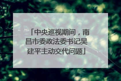 中央巡视期间，南昌市委政法委书记吴建平主动交代问题
