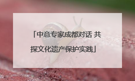 中意专家成都对话 共探文化遗产保护实践