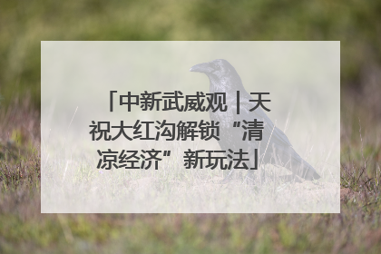 中新武威观｜天祝大红沟解锁“清凉经济”新玩法