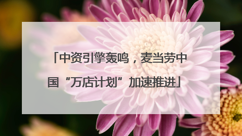 中资引擎轰鸣，麦当劳中国“万店计划”加速推进