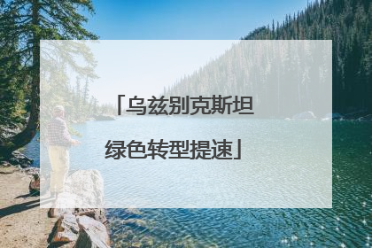 乌兹别克斯坦绿色转型提速