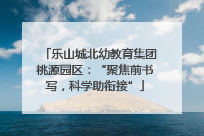 乐山城北幼教育集团桃源园区：“聚焦前书写，科学助衔接”