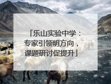 乐山实验中学：专家引领明方向，课题研讨促提升