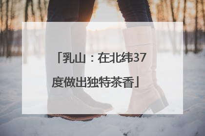 乳山：在北纬37度做出独特茶香