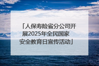 人保寿险省分公司开展2025年全民国家安全教育日宣传活动