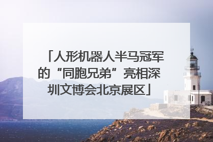 人形机器人半马冠军的“同胞兄弟”亮相深圳文博会北京展区