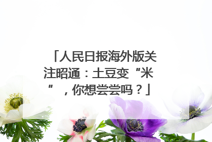 人民日报海外版关注昭通：土豆变“米”，你想尝尝吗？