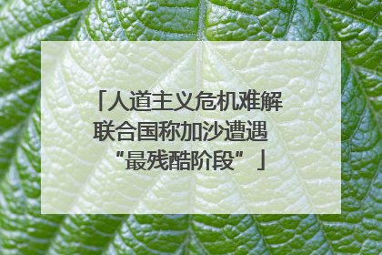 人道主义危机难解 联合国称加沙遭遇“最残酷阶段”