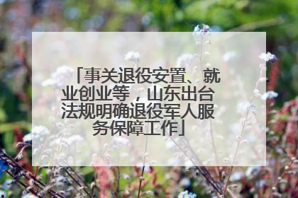 事关退役安置、就业创业等，山东出台法规明确退役军人服务保障工作