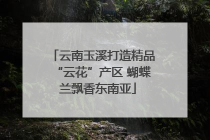 云南玉溪打造精品“云花”产区 蝴蝶兰飘香东南亚