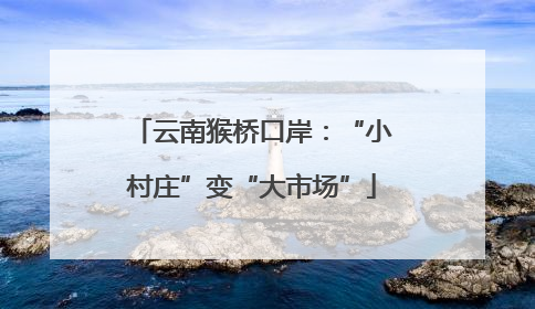 云南猴桥口岸：“小村庄”变“大市场”