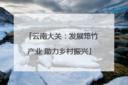 云南大关：发展筇竹产业 助力乡村振兴