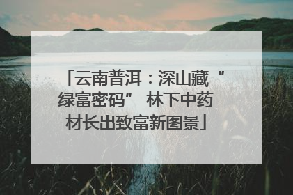 云南普洱：深山藏“绿富密码” 林下中药材长出致富新图景
