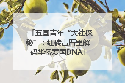 五国青年“大社探秘”：红砖古厝里解码华侨爱国DNA